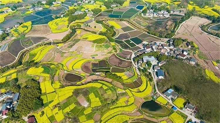 中林油农歌农业